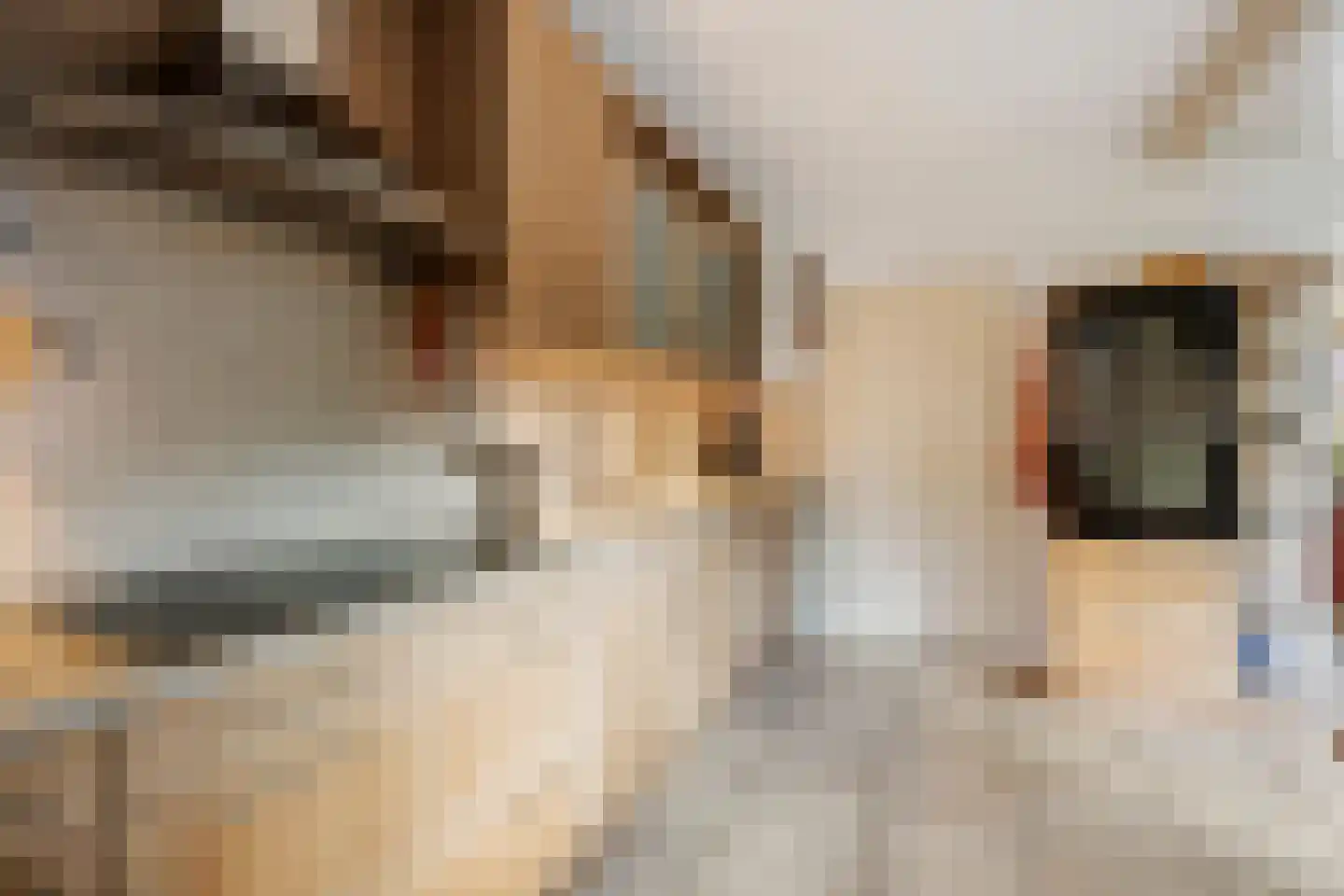Wilhelminastraat 20 Huissen thumbnail 11
