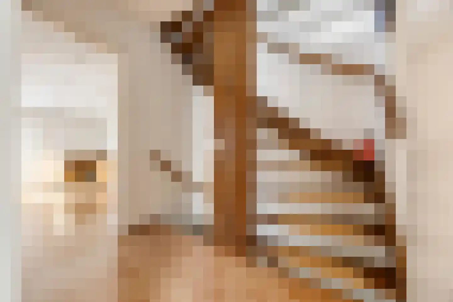 Wilhelminastraat 20 Huissen thumbnail 24