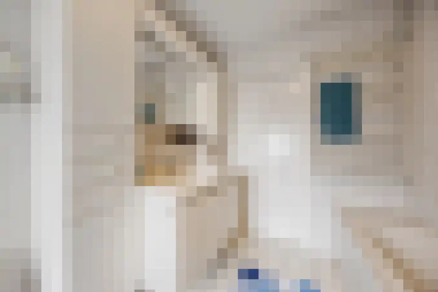 Wilhelminastraat 20 Huissen thumbnail 32