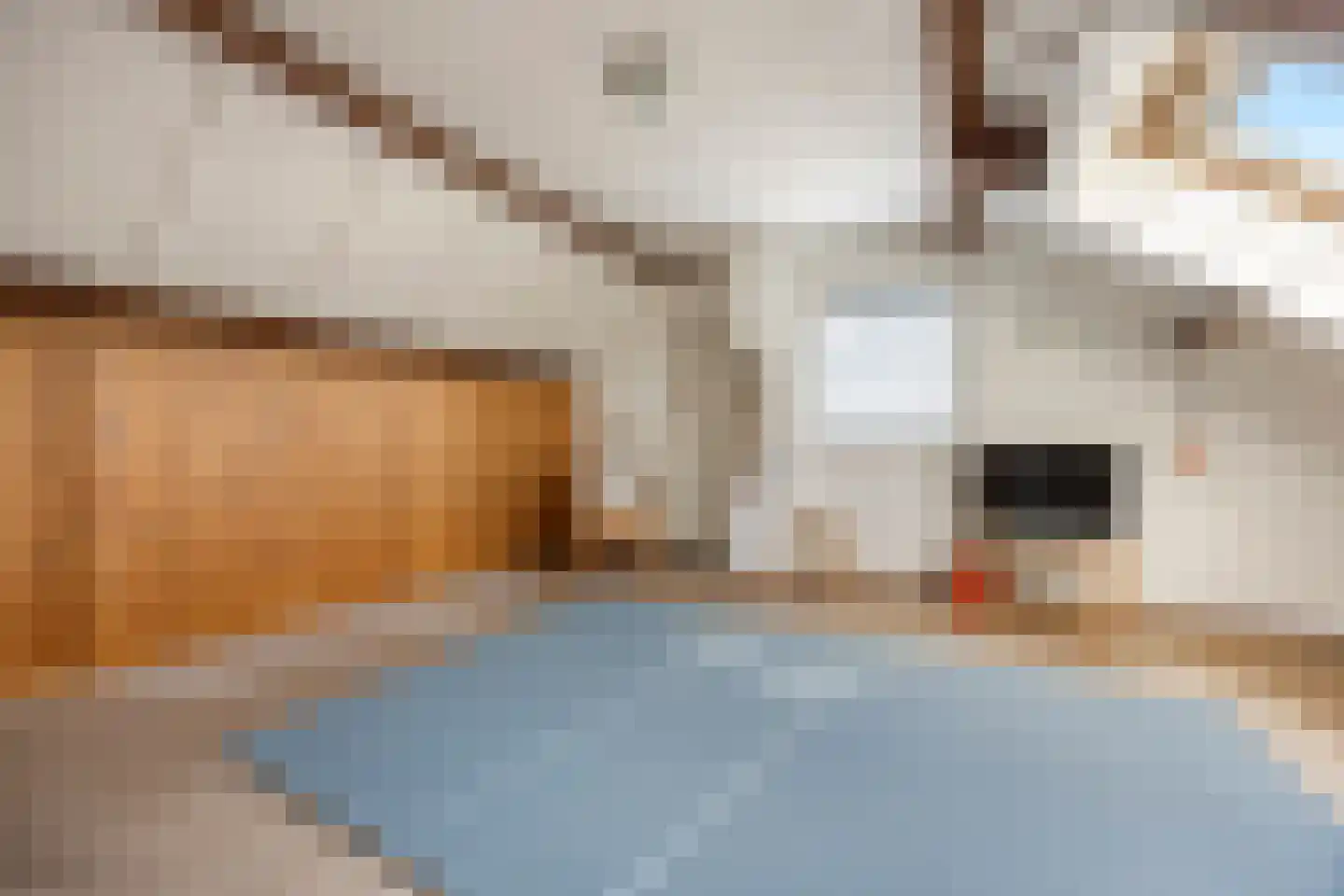 Wilhelminastraat 20 Huissen thumbnail 35