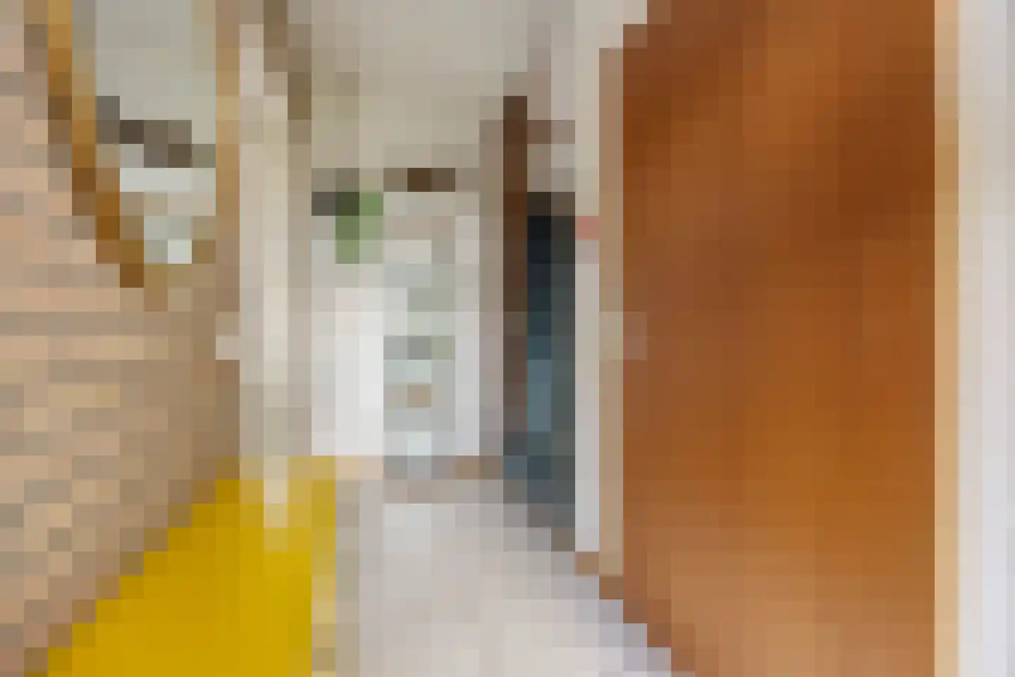 Wilhelminastraat 20 Huissen thumbnail 6
