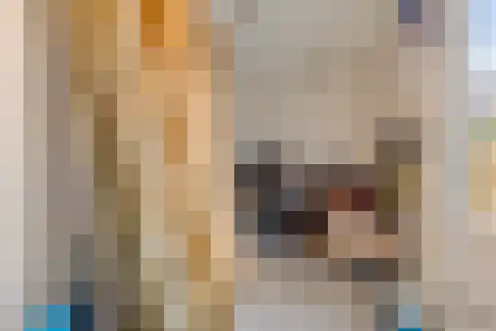 Wilhelminastraat 20 Marrum thumbnail 10