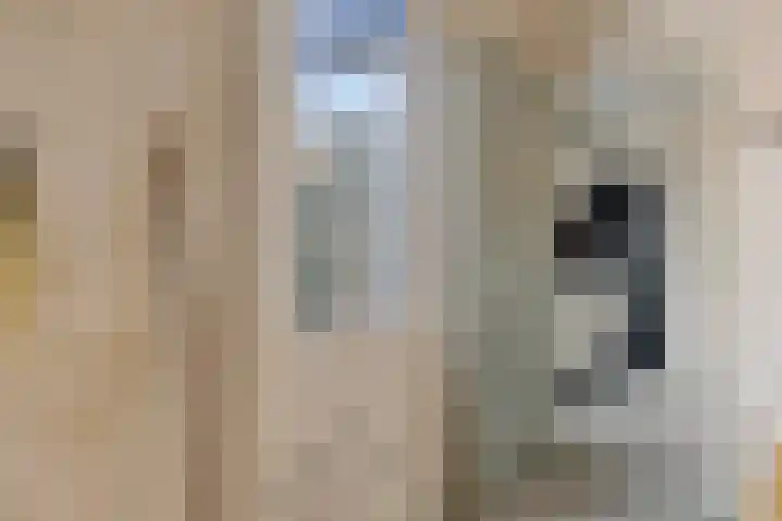 Wilhelminastraat 20 Marrum thumbnail 11