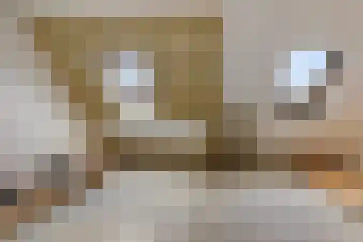 Wilhelminastraat 20 Marrum thumbnail 21