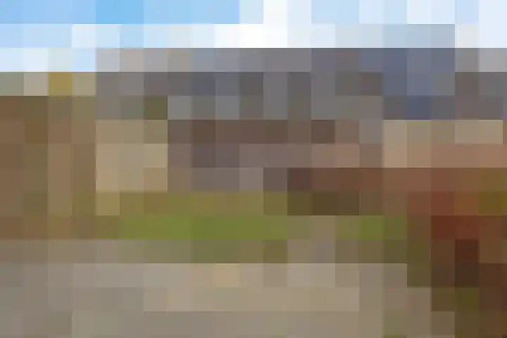 Wilhelminastraat 20 Marrum thumbnail 27