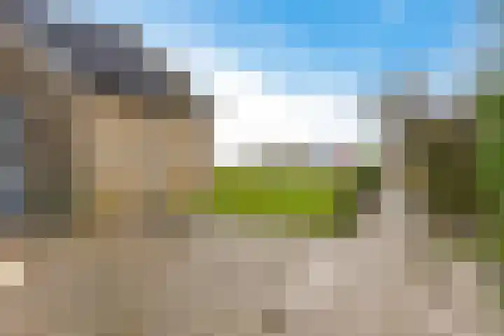 Wilhelminastraat 20 Marrum thumbnail 30