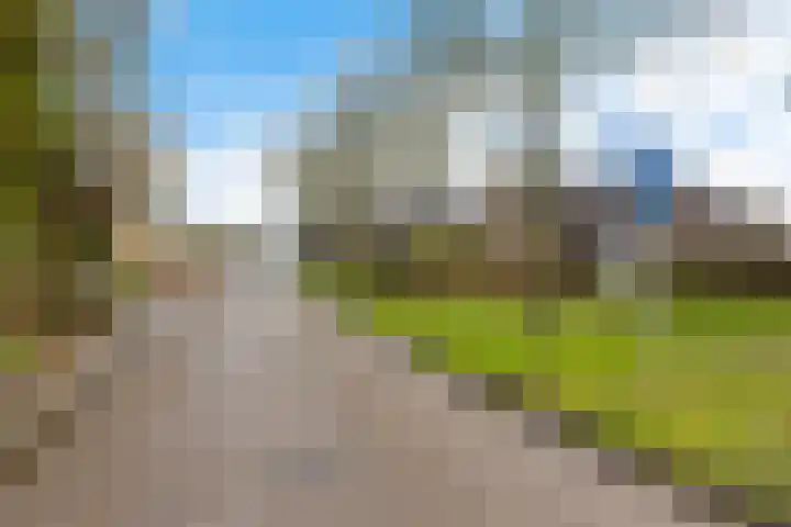Wilhelminastraat 20 Marrum thumbnail 34