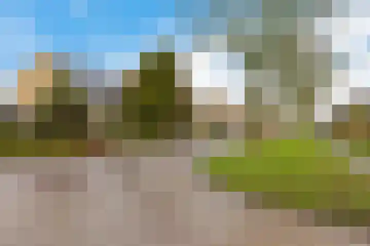 Wilhelminastraat 20 Marrum thumbnail 35