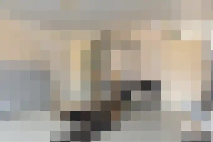 Wilhelminastraat 20 Marrum thumbnail 5
