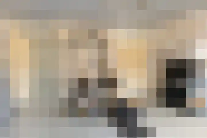 Wilhelminastraat 20 Marrum thumbnail 6