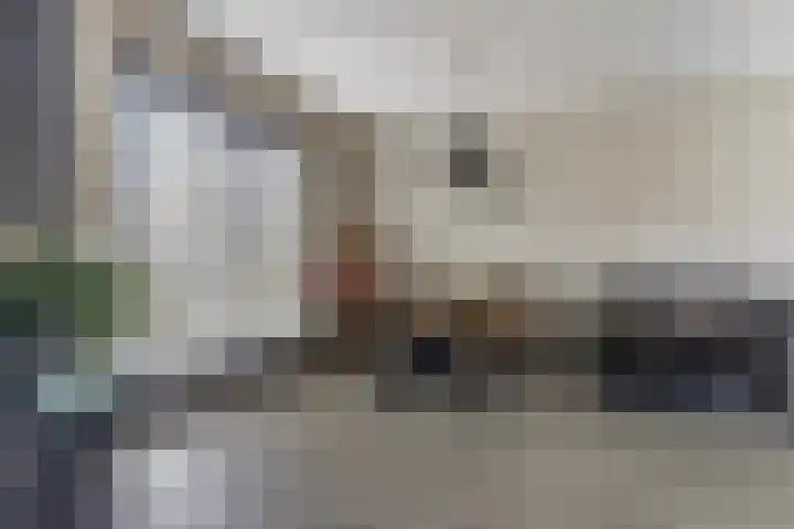 Wilhelminastraat 20 Scherpenisse thumbnail 11