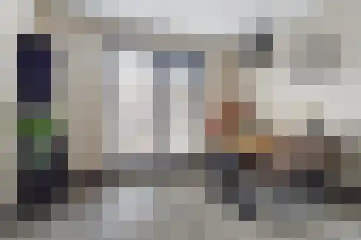 Wilhelminastraat 20 Scherpenisse thumbnail 13