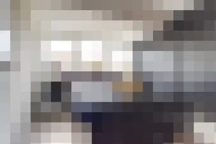 Wilhelminastraat 20 Scherpenisse thumbnail 19
