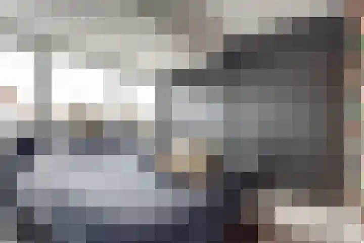 Wilhelminastraat 20 Scherpenisse thumbnail 20