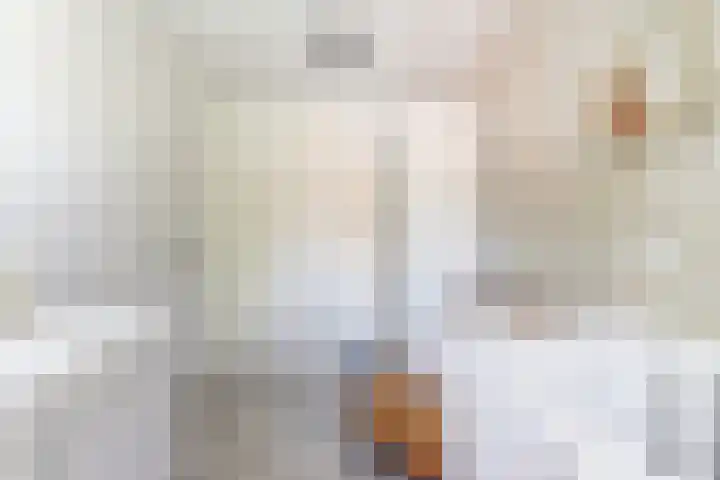 Wilhelminastraat 20 Scherpenisse thumbnail 21