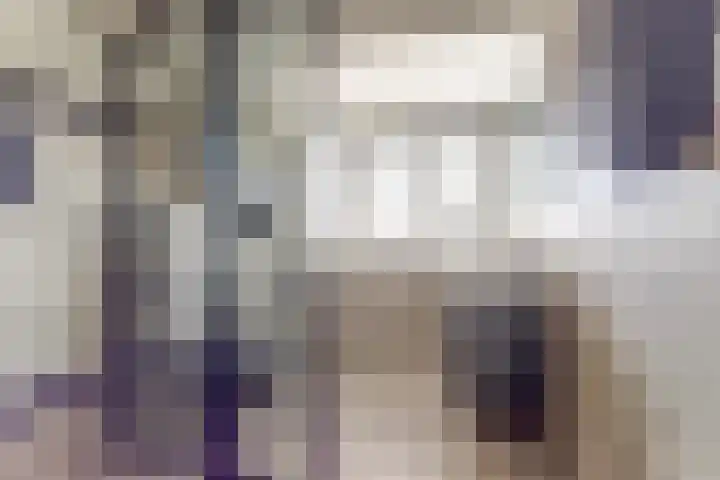 Wilhelminastraat 20 Scherpenisse thumbnail 24