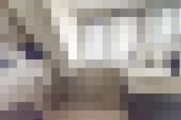 Wilhelminastraat 20 Scherpenisse thumbnail 25
