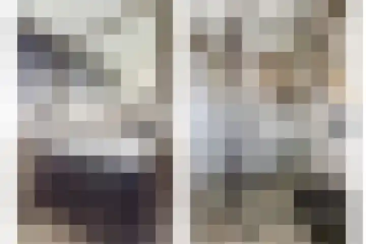 Wilhelminastraat 20 Scherpenisse thumbnail 26