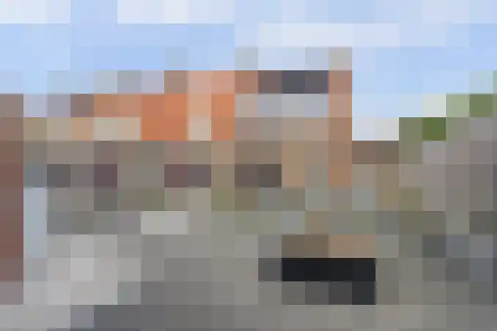 Wilhelminastraat 20 Scherpenisse thumbnail 28