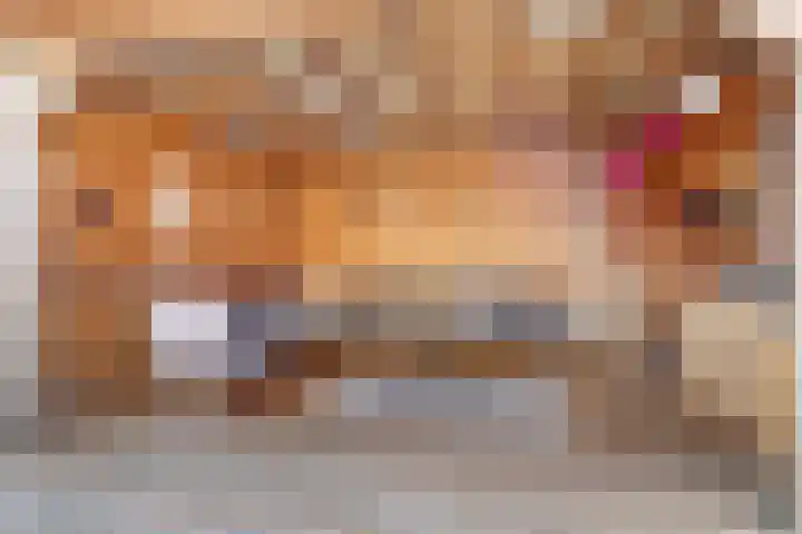 Wilhelminastraat 20 Scherpenisse thumbnail 30