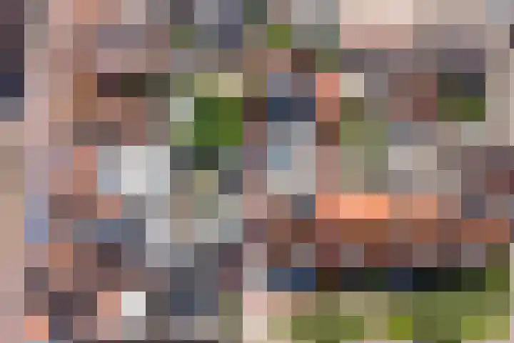Wilhelminastraat 20 Scherpenisse thumbnail 34