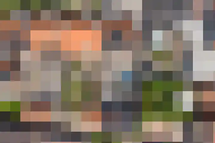 Wilhelminastraat 20 Scherpenisse thumbnail 35