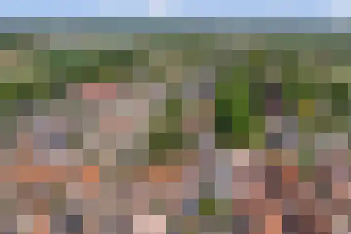 Wilhelminastraat 20 Scherpenisse thumbnail 37