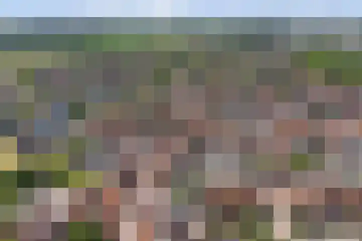 Wilhelminastraat 20 Scherpenisse thumbnail 38