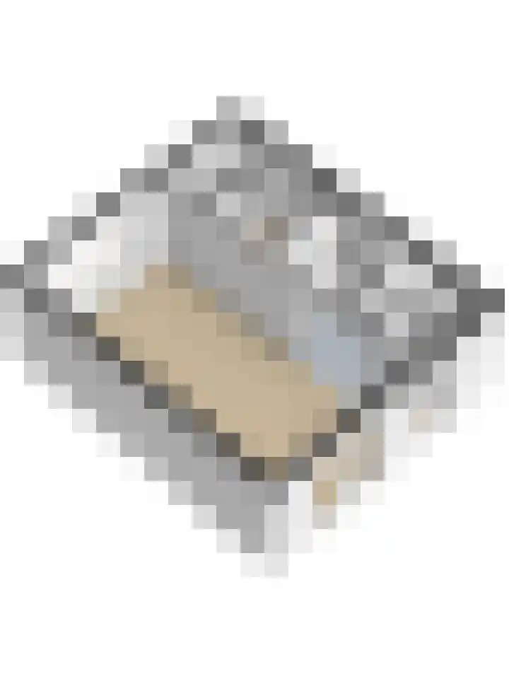 Wilhelminastraat 20 Scherpenisse thumbnail 44