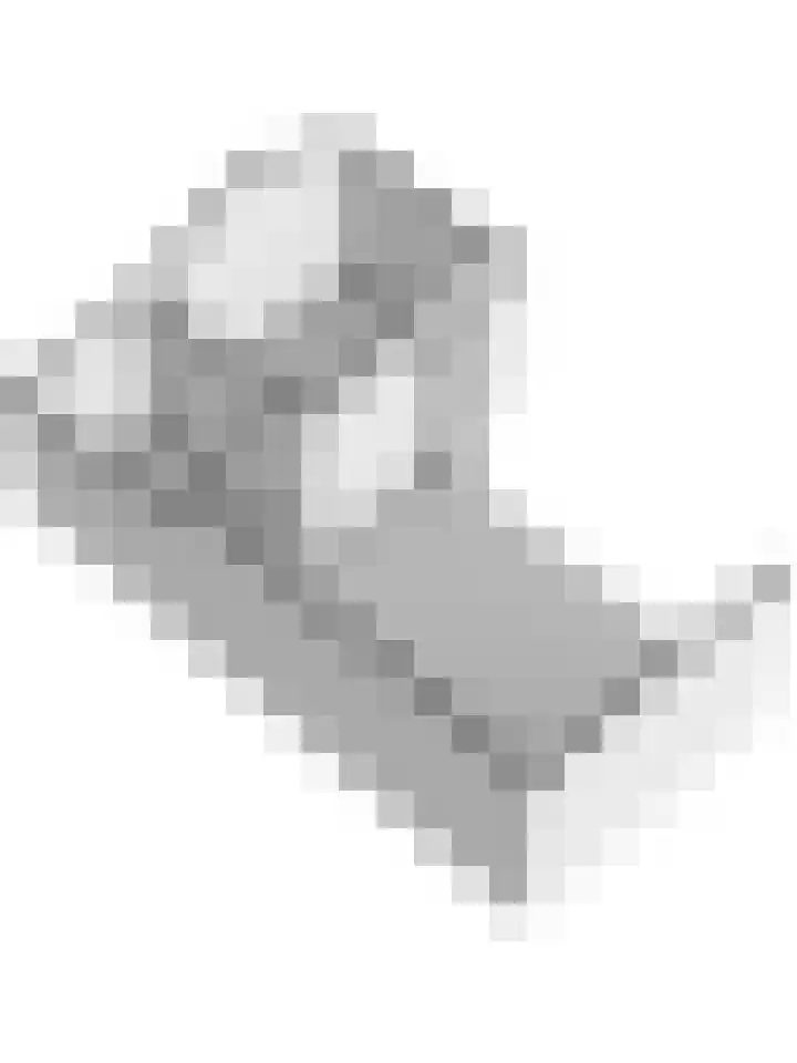 Wilhelminastraat 20 Scherpenisse thumbnail 47