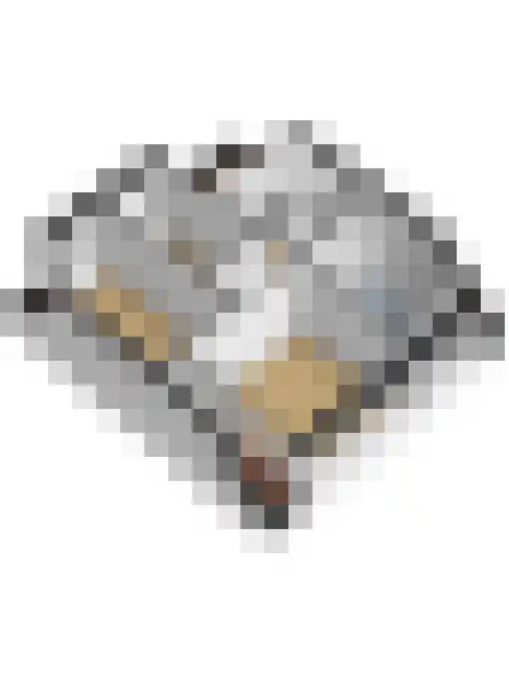 Wilhelminastraat 20 Scherpenisse thumbnail 48
