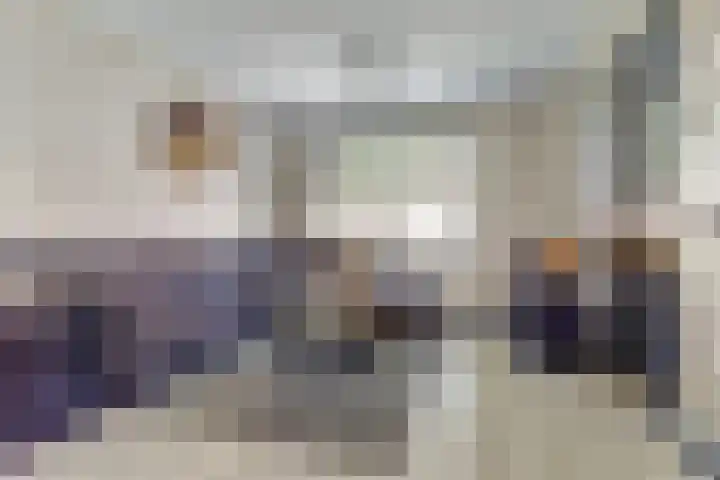 Wilhelminastraat 20 Scherpenisse thumbnail 7