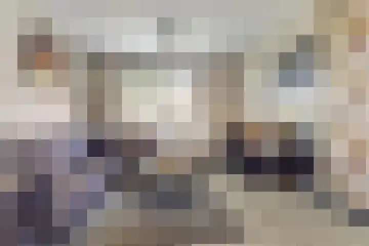 Wilhelminastraat 20 Scherpenisse thumbnail 8