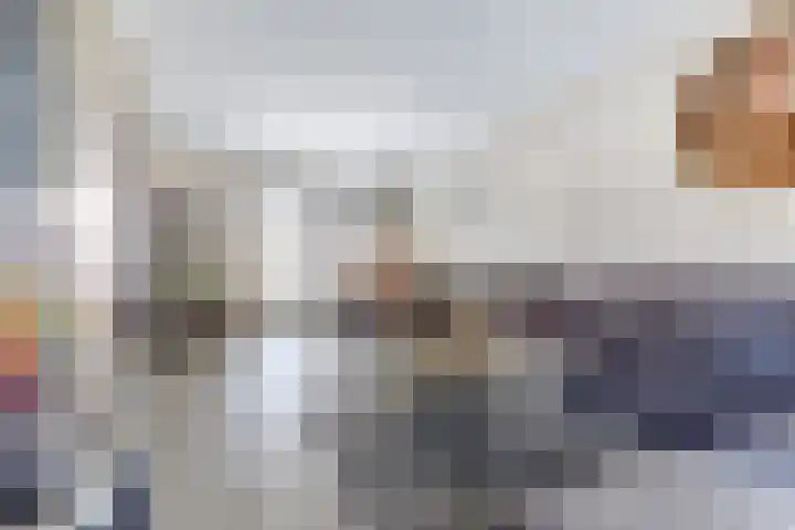Wilhelminastraat 20 Scherpenisse thumbnail 9