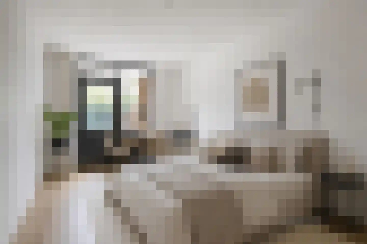 Wilhelminastraat 203 Uden thumbnail 15