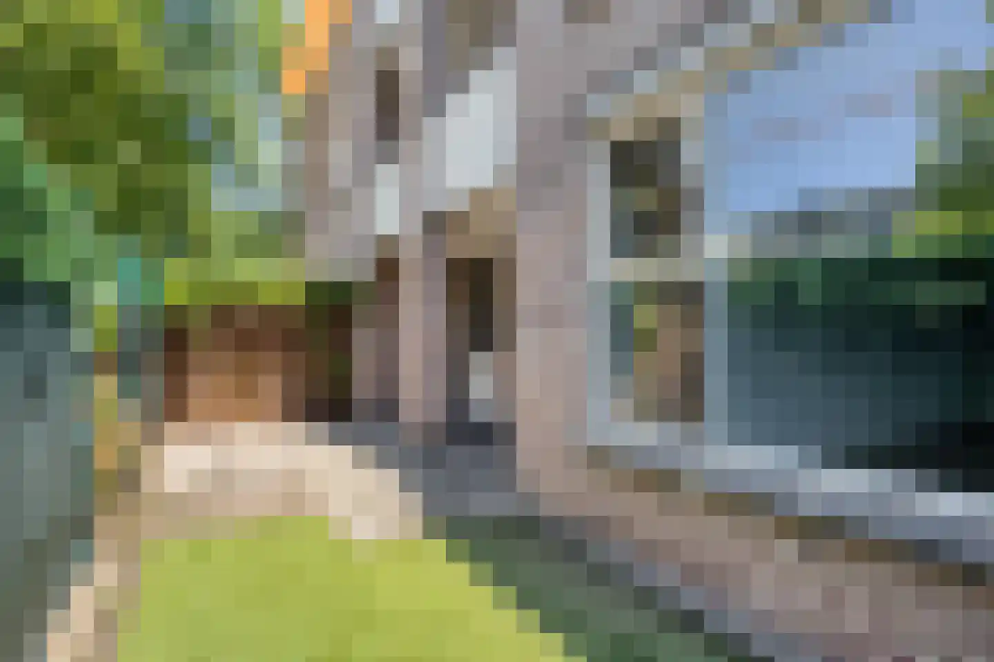 Wilhelminastraat 203 Uden thumbnail 21