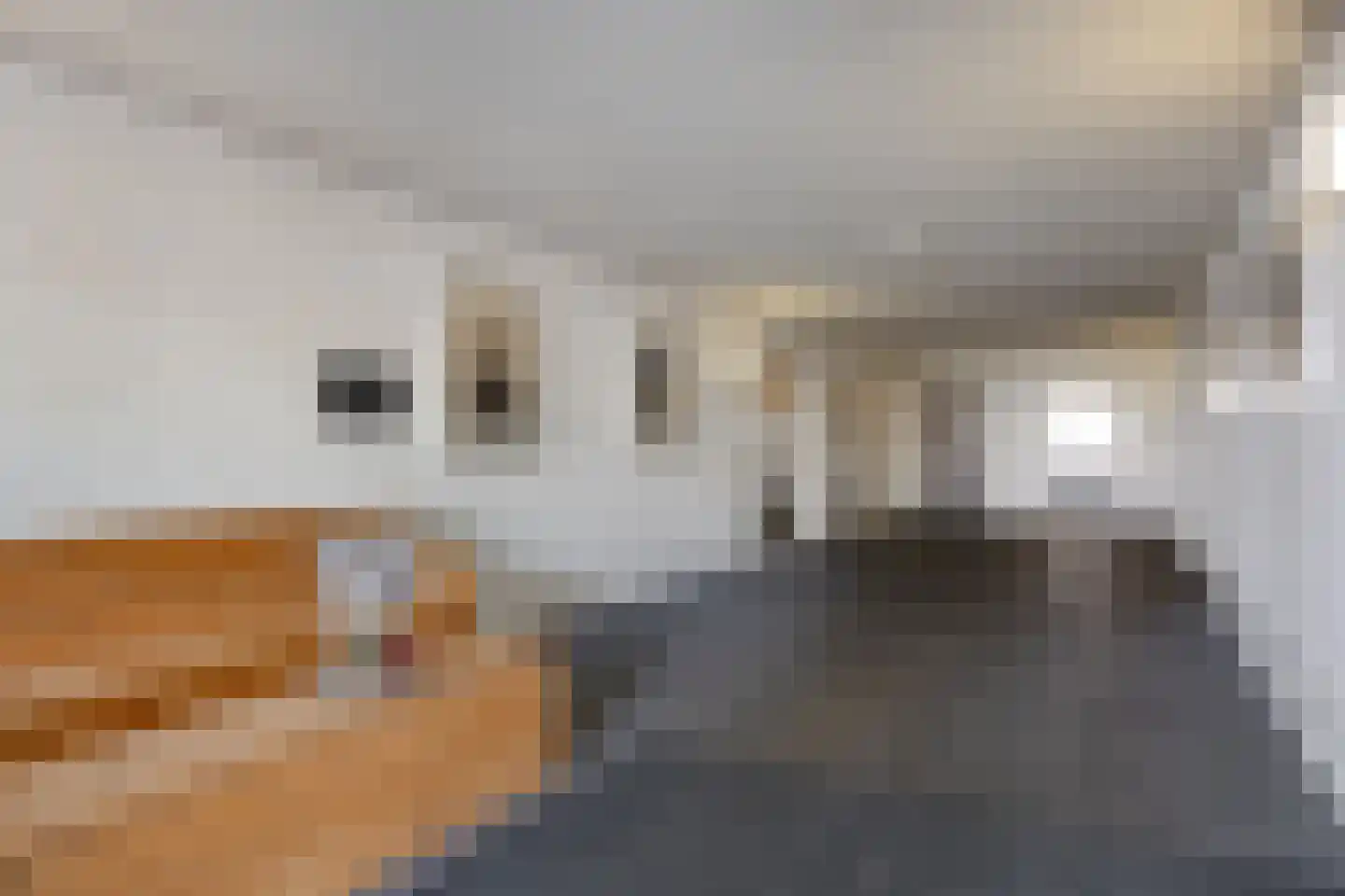Wilhelminastraat 203 Uden thumbnail 25