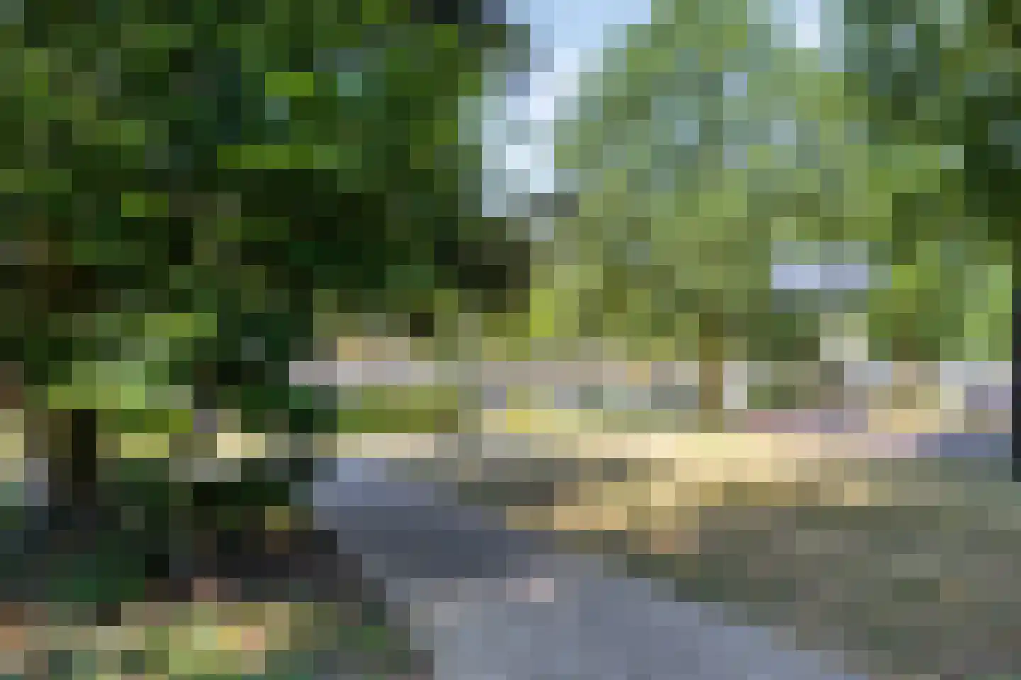Wilhelminastraat 203 Uden thumbnail 27