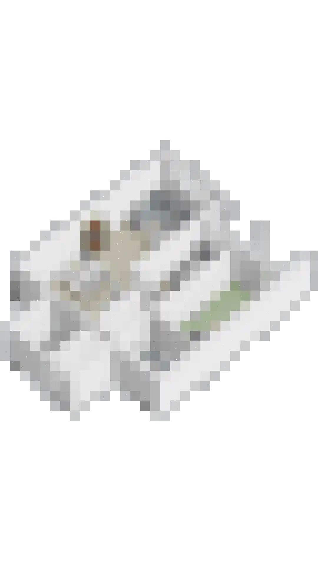 Wilhelminastraat 203 Uden thumbnail 30