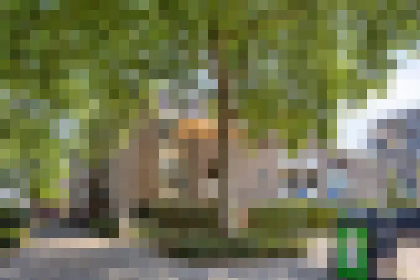 Wilhelminastraat 203 Uden thumbnail 7