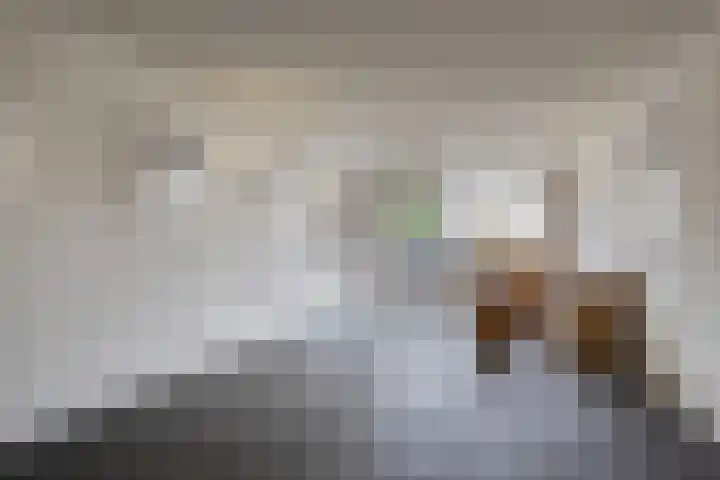 Wilhelminastraat 205 Uden thumbnail 10
