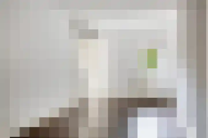 Wilhelminastraat 205 Uden thumbnail 12