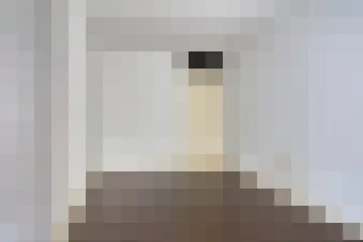 Wilhelminastraat 205 Uden thumbnail 13