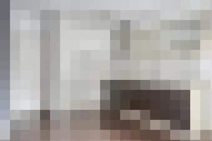 Wilhelminastraat 205 Uden thumbnail 17