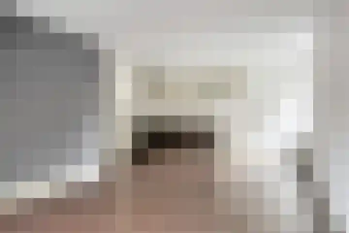 Wilhelminastraat 205 Uden thumbnail 18
