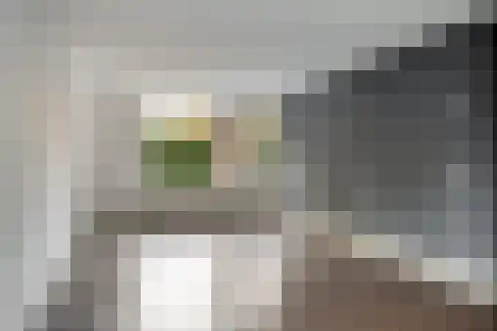 Wilhelminastraat 205 Uden thumbnail 19