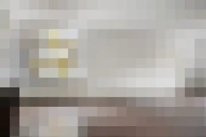 Wilhelminastraat 205 Uden thumbnail 20