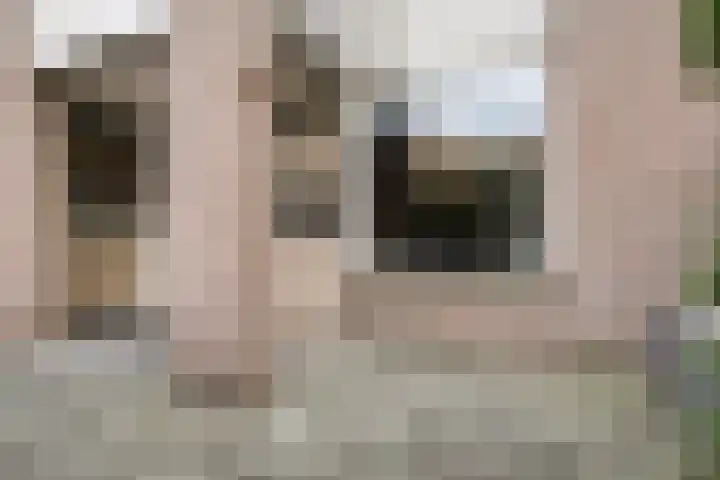 Wilhelminastraat 205 Uden thumbnail 22