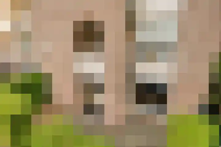 Wilhelminastraat 205 Uden thumbnail 24