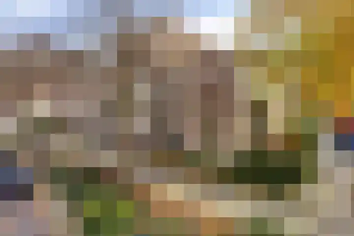 Wilhelminastraat 205 Uden thumbnail 28